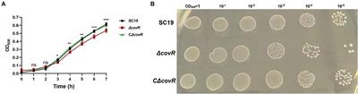 Transcriptome and metabolome profiling to elucidate the mechanism underlying the poor growth of Streptococcus suis serotype 2 after orphan response regulator CovR deletion